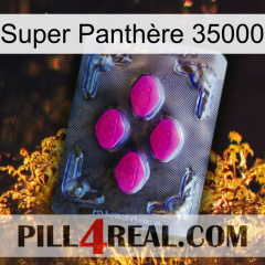 Super Panthère 35000 02